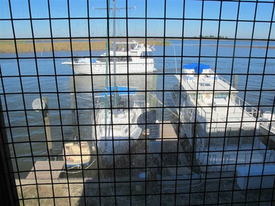 Apalachicola River from the Raw Bar Up the Creek