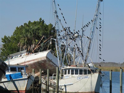 Shrimp Boats 