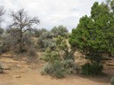 IMG_9397 -Medium.JPG