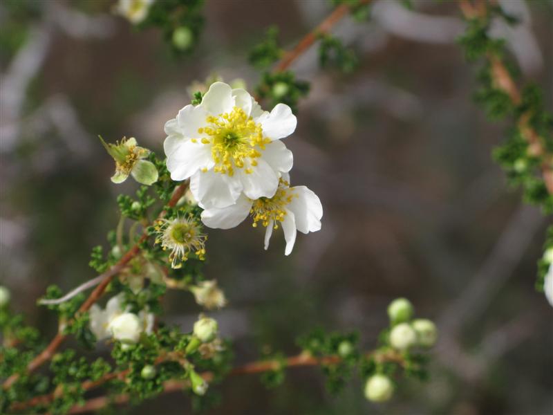 IMG_9399 -Medium.JPG