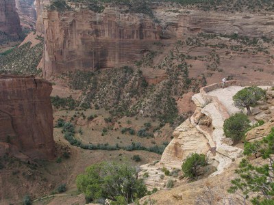 IMG_9433 -Medium.JPG