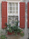 IMG_6416 -Large.jpg