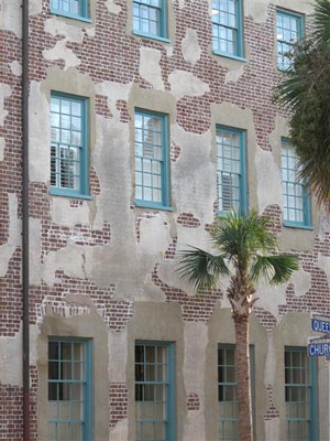 IMG_6426 -Medium.jpg