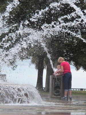 IMG_6523 -Medium.jpg