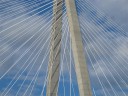 IMG_6586 -Large.jpg