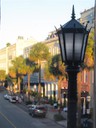 IMG_6623 -Medium.jpg