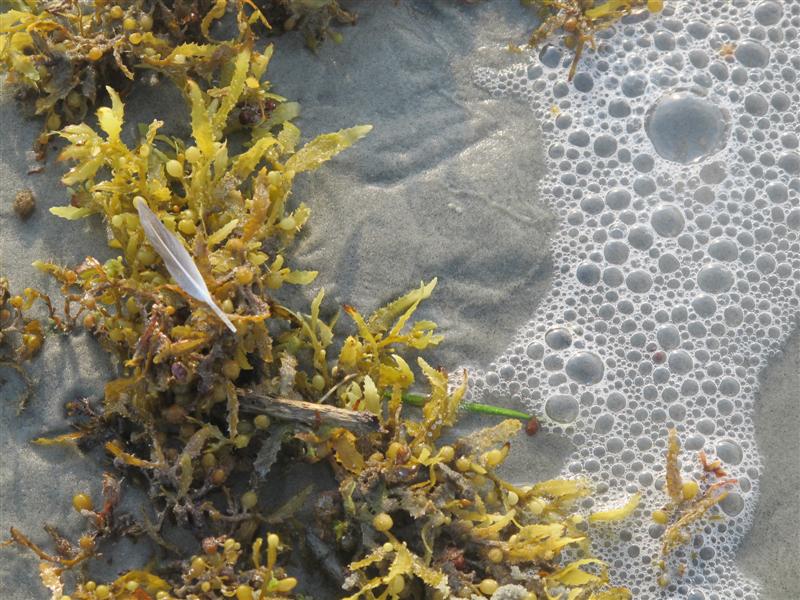 IMG_6655 -Medium.jpg