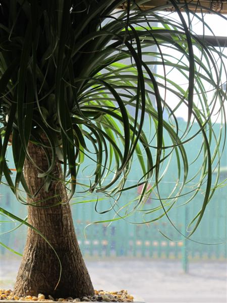 IMG_6692 -Medium.jpg