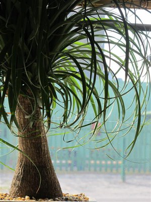 IMG_6692 -Medium.jpg