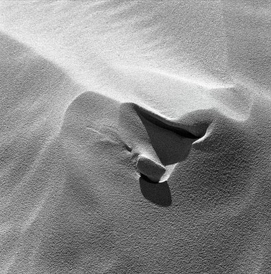 0013-web.jpg