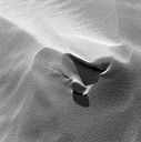 0013-web.jpg