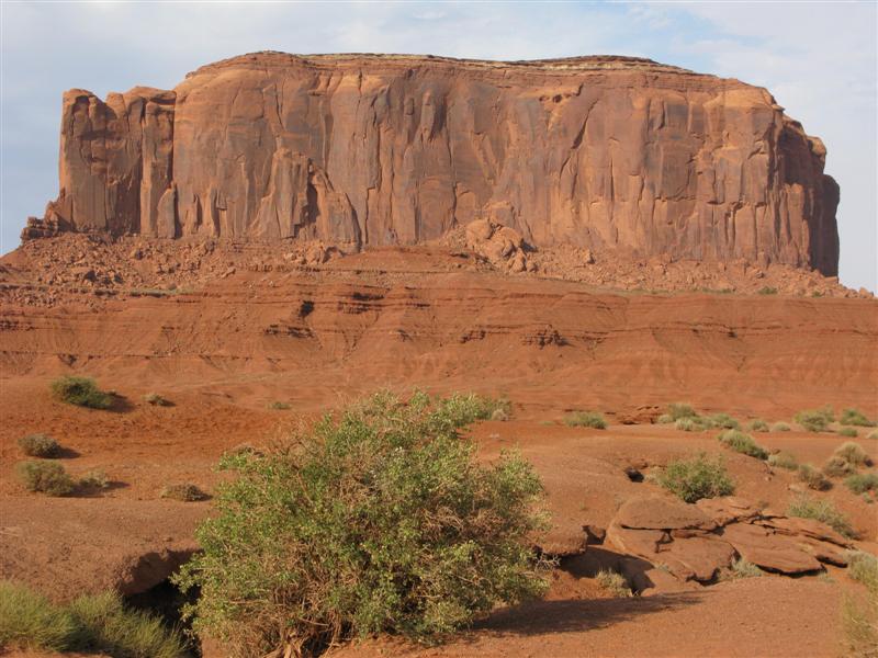 IMG_8714 -Medium.JPG