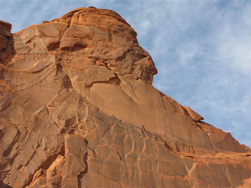 IMG_8735 -Medium.JPG