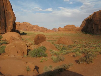 IMG_8741 -Medium.JPG