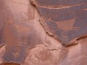 IMG_8784 -Medium.JPG