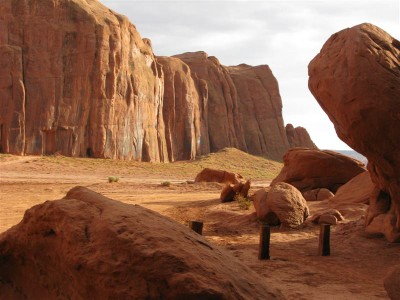 IMG_8792 -Medium.JPG