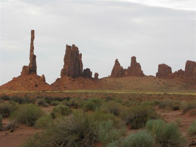 IMG_8872 -Medium.JPG