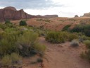 IMG_8905 -Medium.JPG