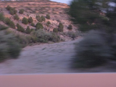 IMG_8511.JPG