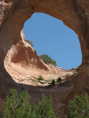 IMG_9580 -Medium.JPG