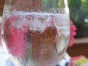 IMG_6465.jpg