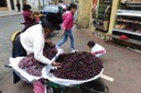 P1030164.jpg
