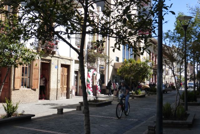 P1020833.jpg