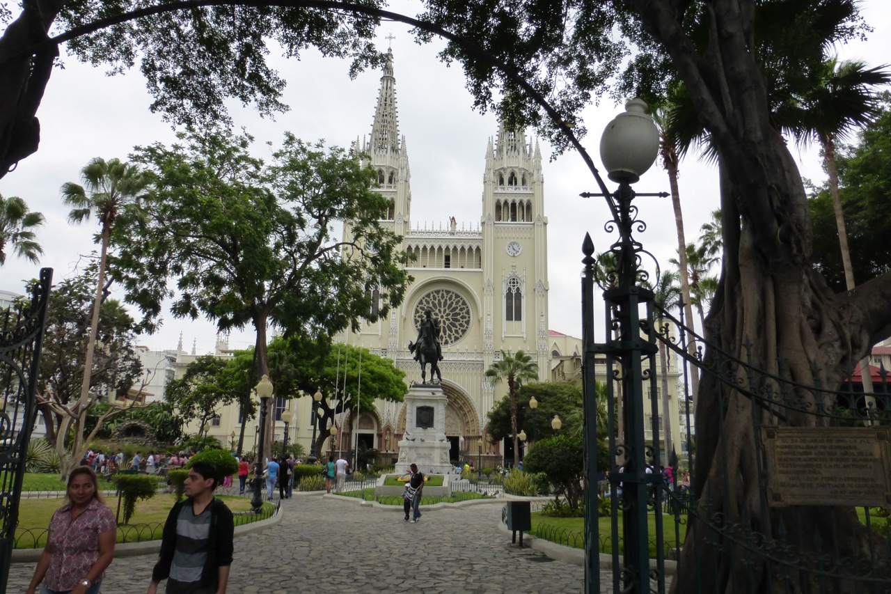 P1140290.jpg