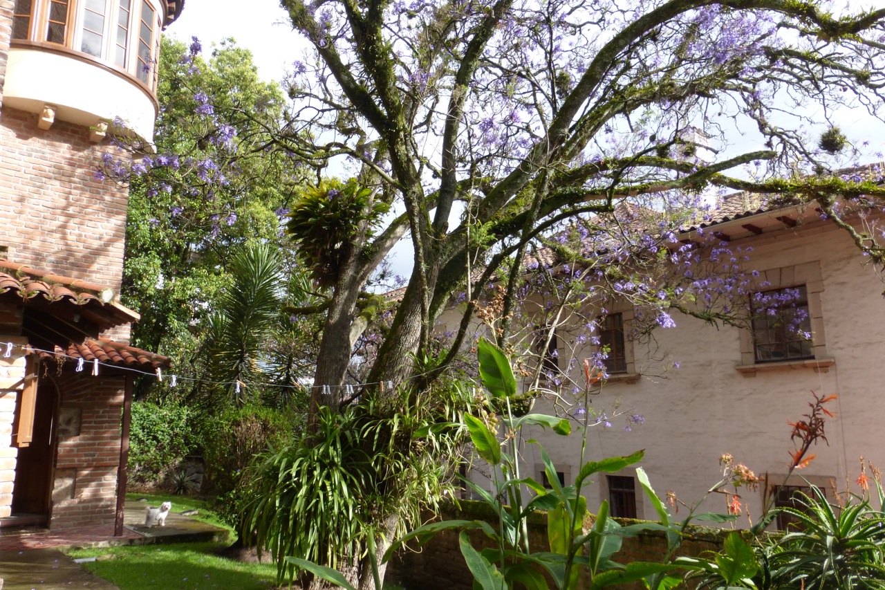 P1140523.jpg