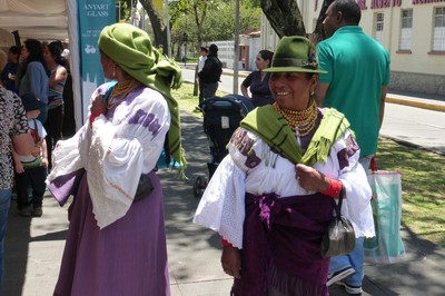 P1150340.jpg