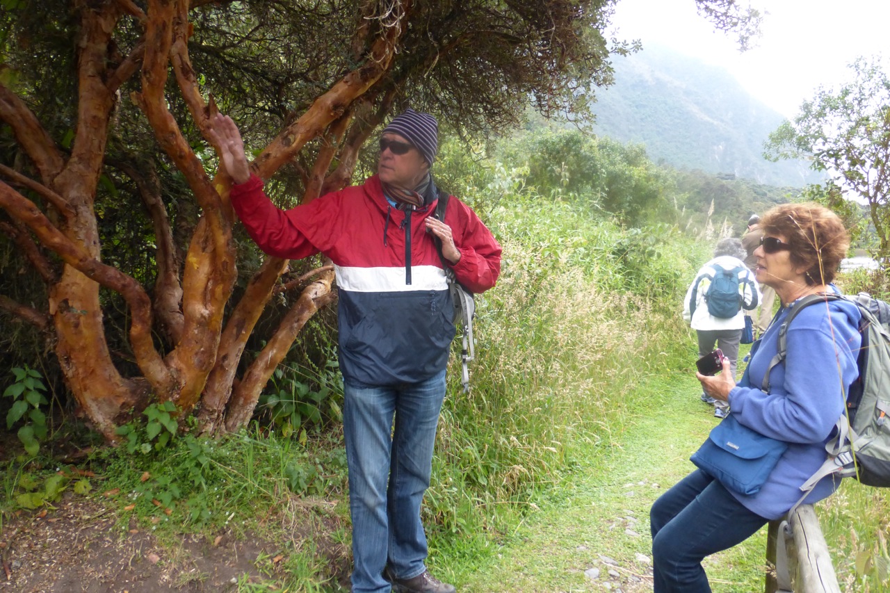 P1150806.jpg