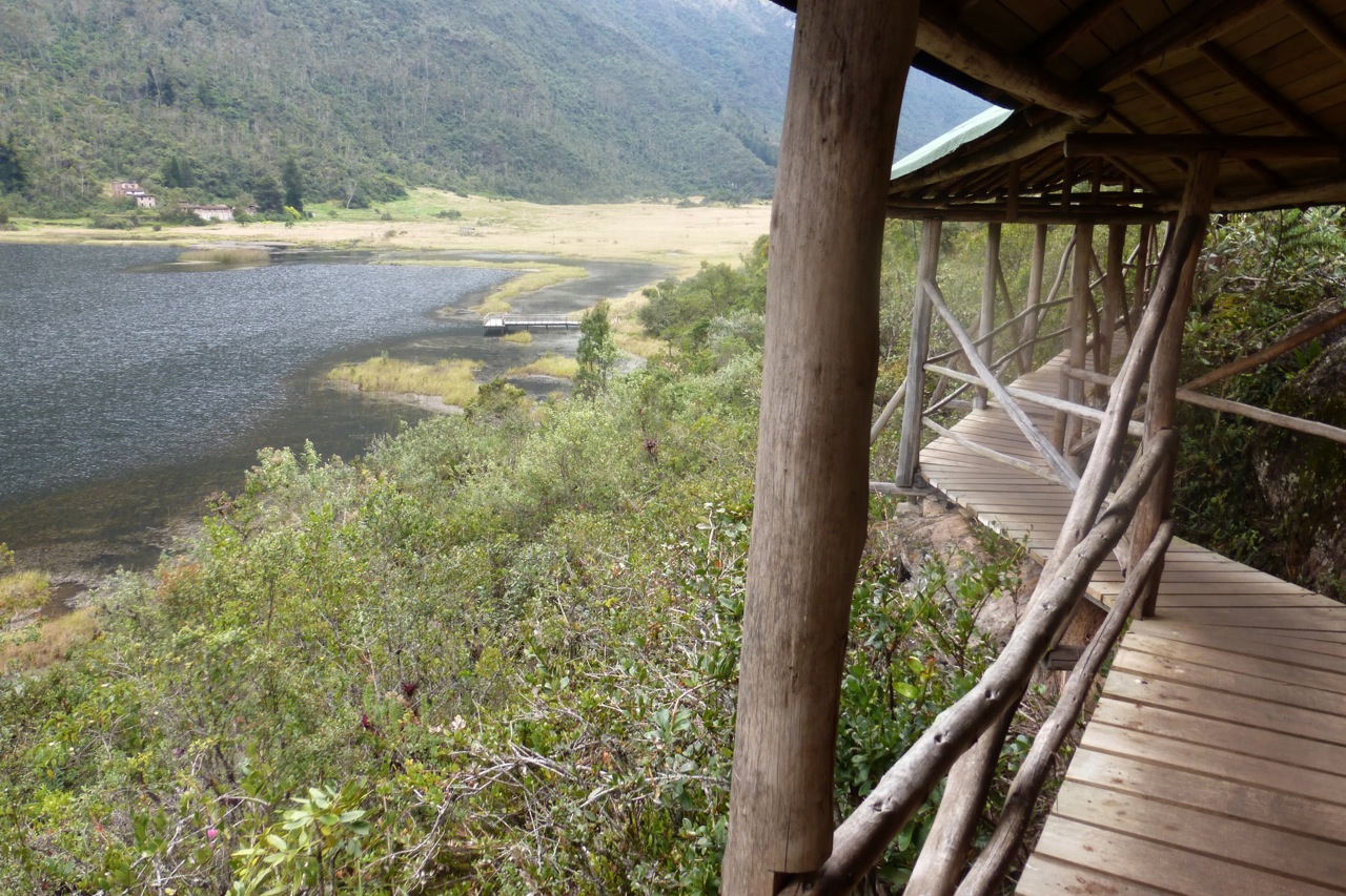 P1150836.jpg