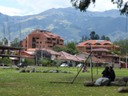 P1000095.jpg