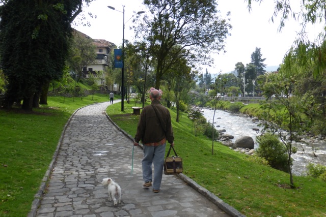 P1010695.jpg