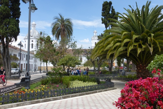 P1010838.jpg