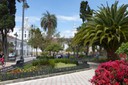 P1010838.jpg