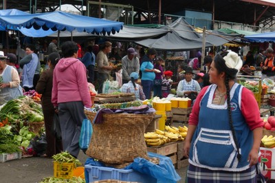 P1020110.jpg