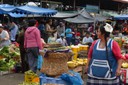 P1020110.jpg