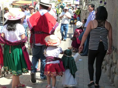 P1020178.jpg