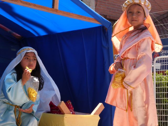 P1020255.jpg