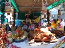 P1020470.jpg