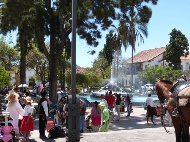 P1020494.jpg