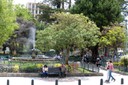 P1040551.jpg