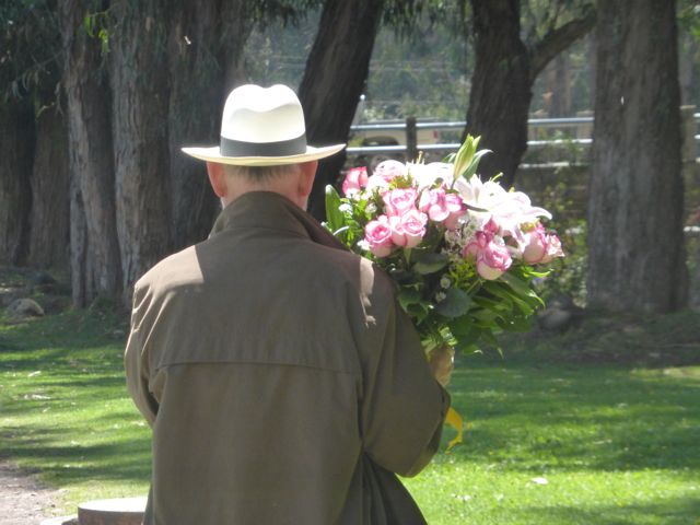 P1050183.jpg