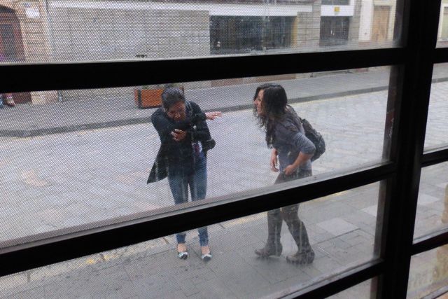 P1050631.jpg