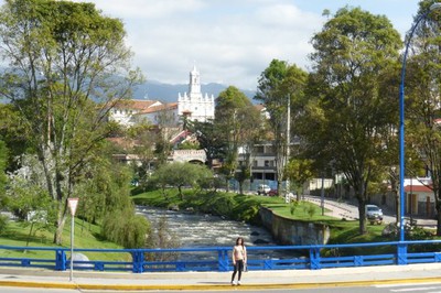 P1050974.jpg