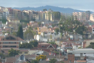 P1110731.jpg