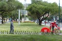 P1110995.jpg